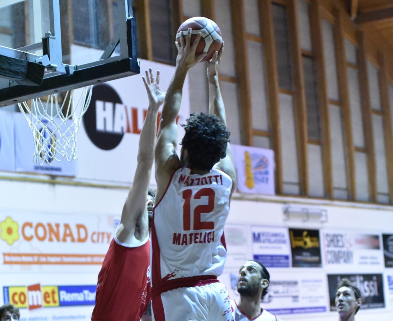 La Halley chiude la regular season in bellezza: Amatori al tappeto, ora sotto con le laziali
