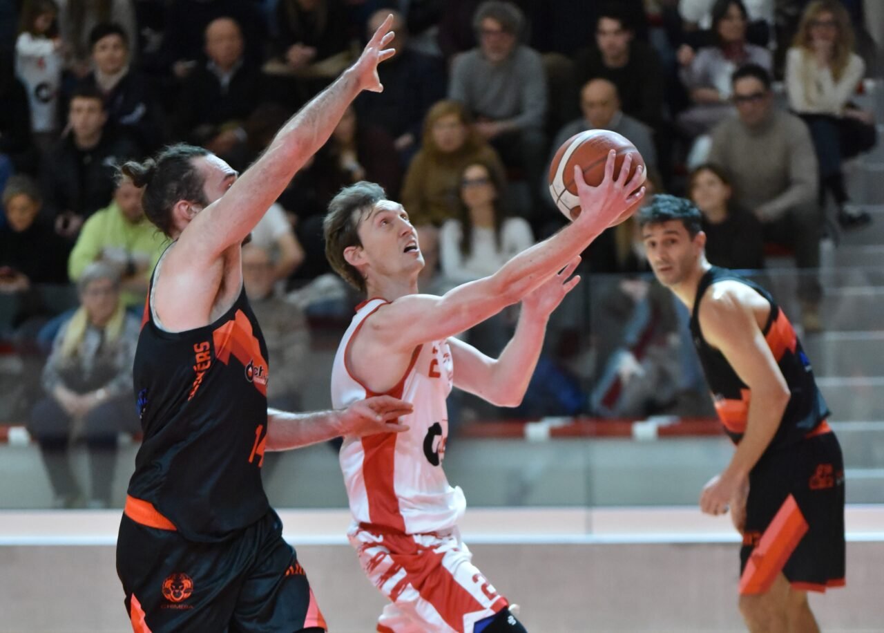 Halley in down, Forlimpopoli corsara