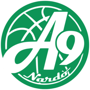 PALLACANESTRO NARDO https://vigorbasketmatelica.it/wp-content/uploads/2026/08/PALLACANESTRO-NARDO.png